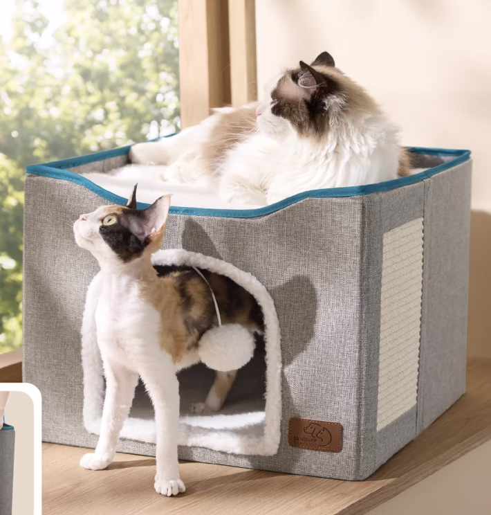 Cat Cave