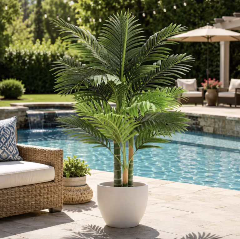 Cane Palm Tree!