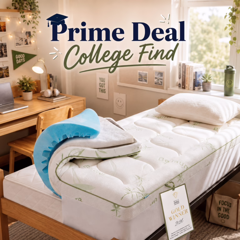 🛏️ Dorm Favorite