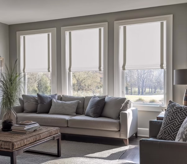 LazBlinds Cordless Shades