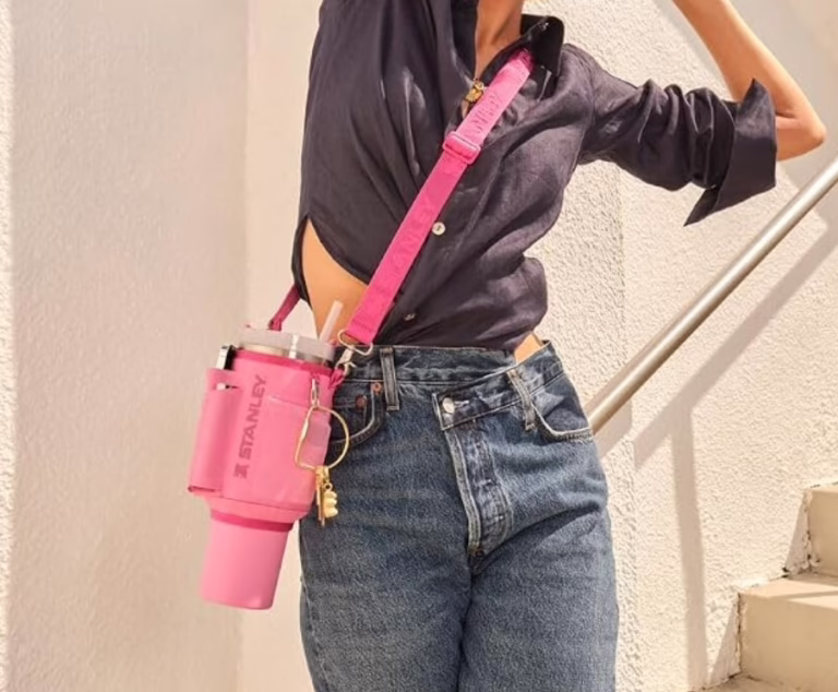 Stanley Bottle Carrier Bag