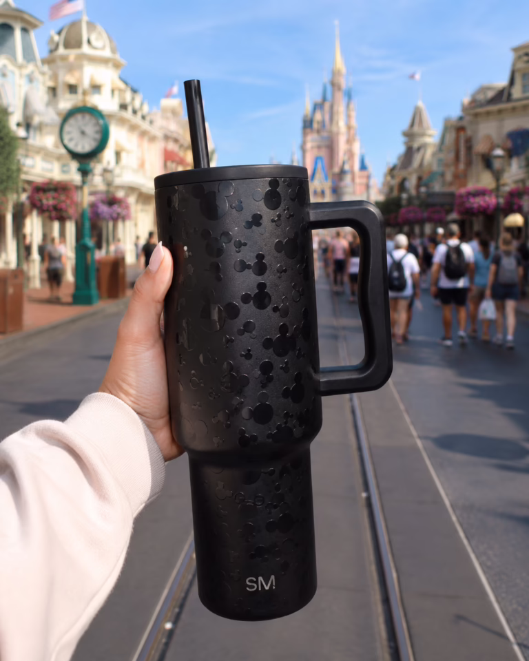 🏰 Disney Favorite