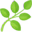 🌿