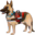🐕🦺
