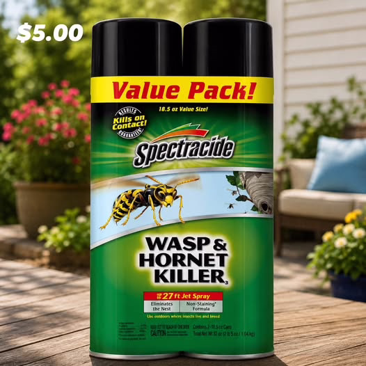 Spectracide Wasp & Hornet Killer