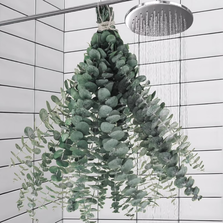 dried eucalyptus