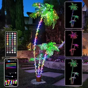 Lighted Palm Tree