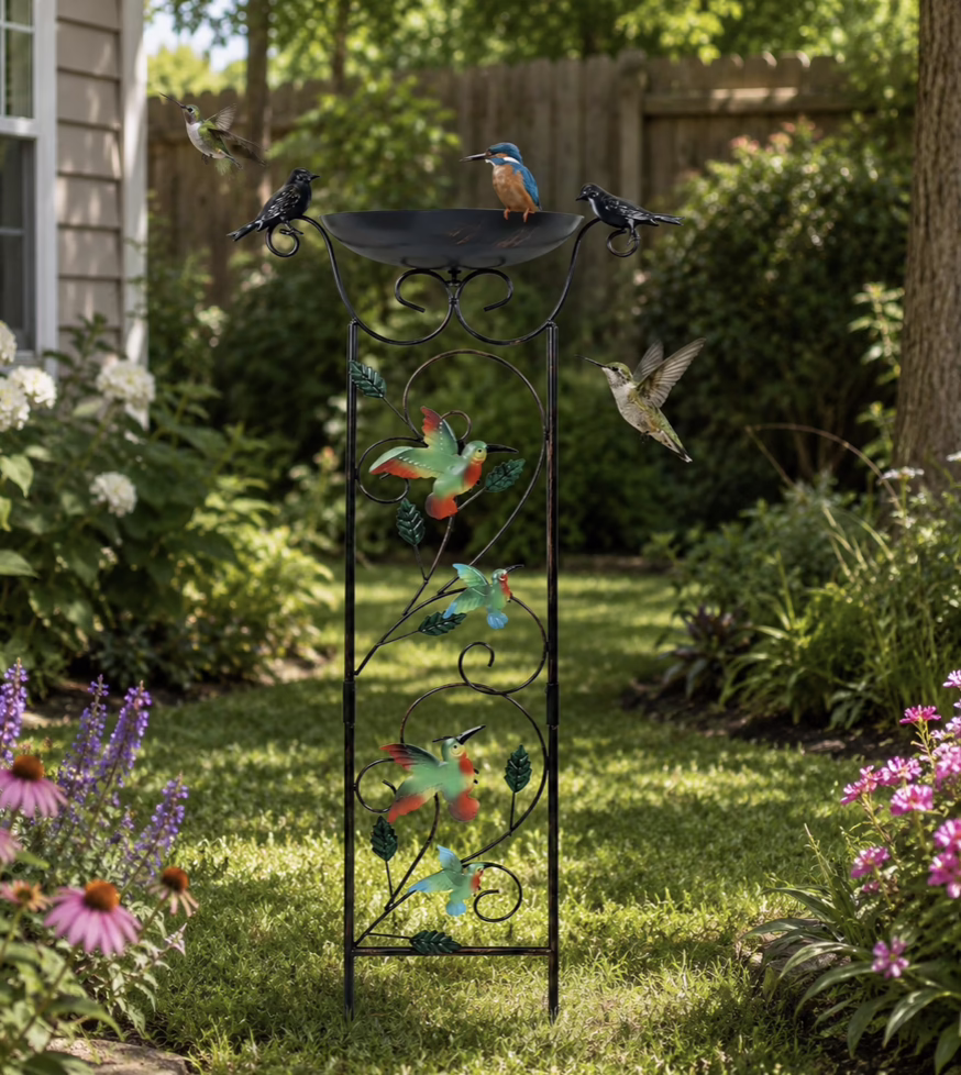 Bird Bath