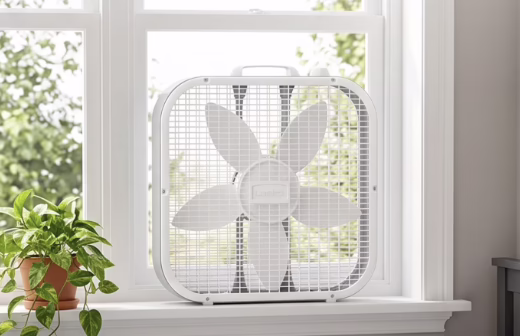 Lasko Box Fan