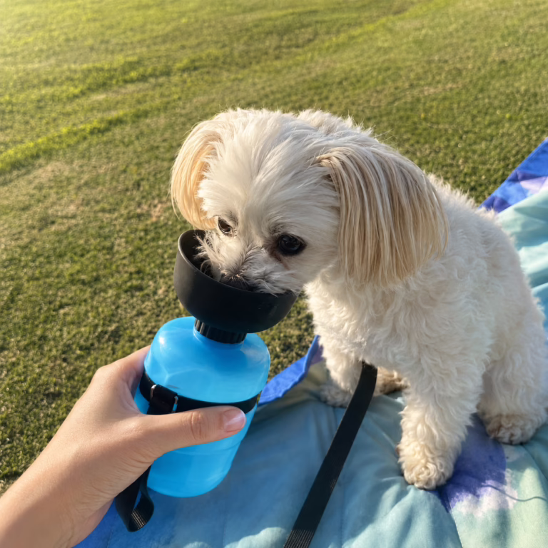 lesotc Dog Water Bottle