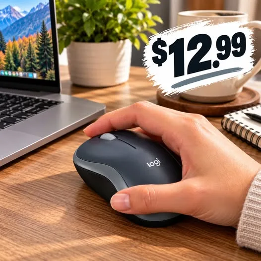 Logithec Mouse Wireless Logitech Compact Wireless Mouse - The Humble Warrior